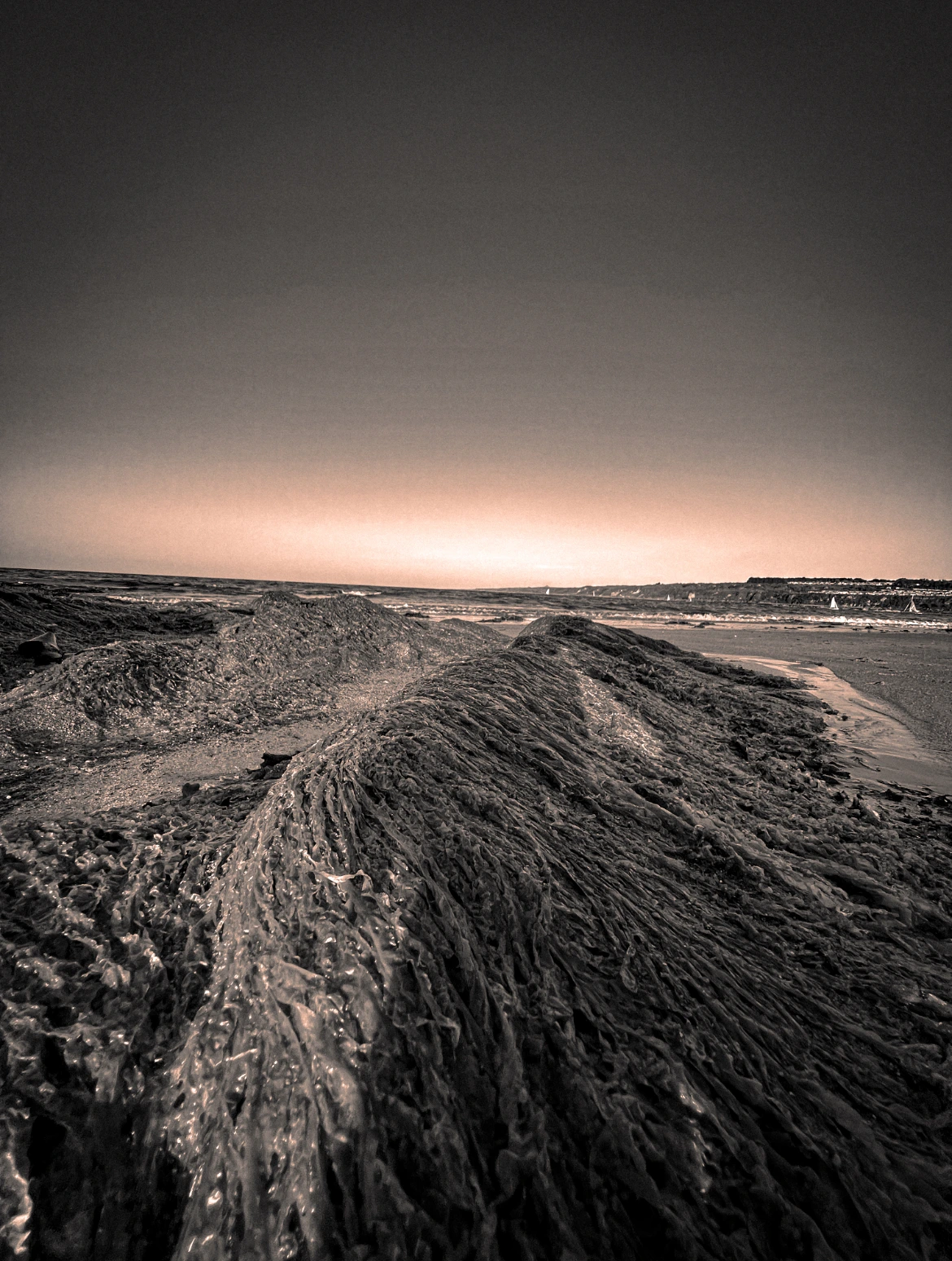 Photo 200