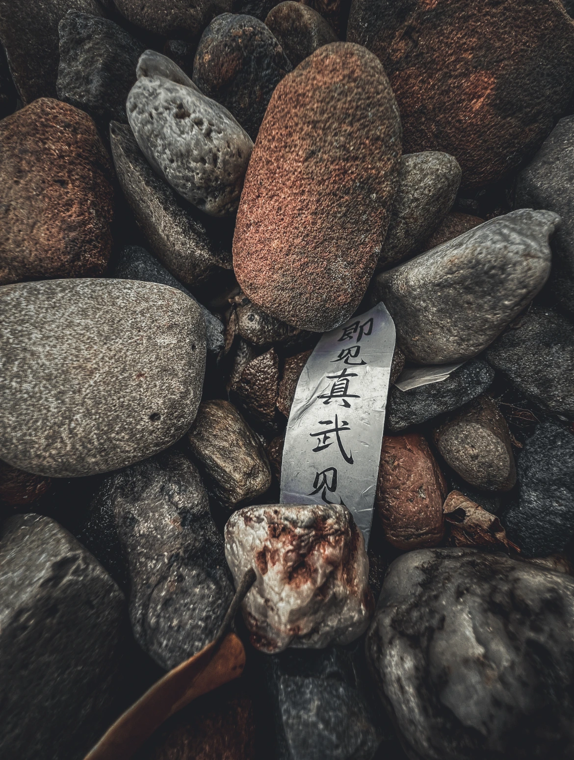 Photo 242
