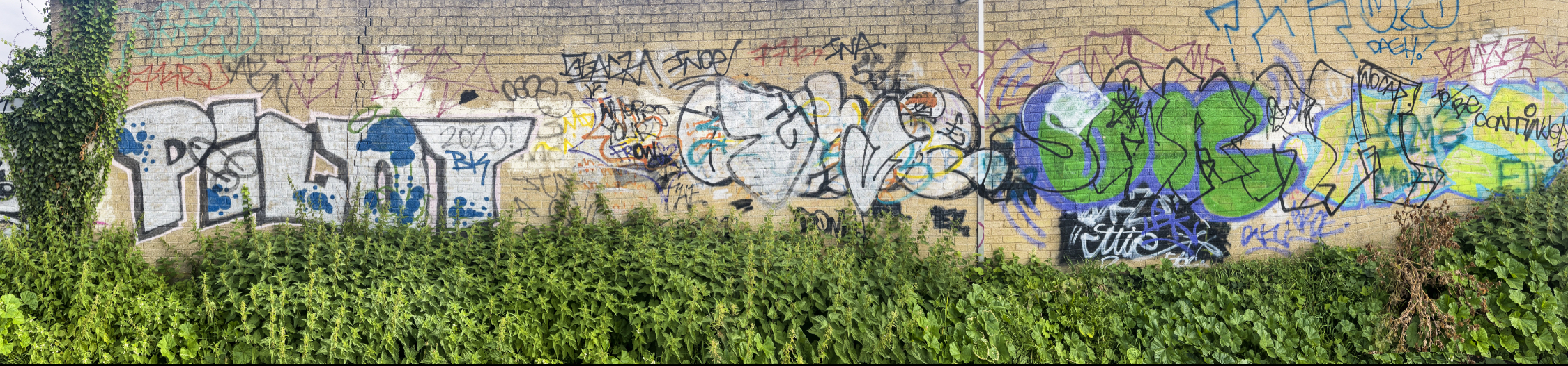 Photo 323