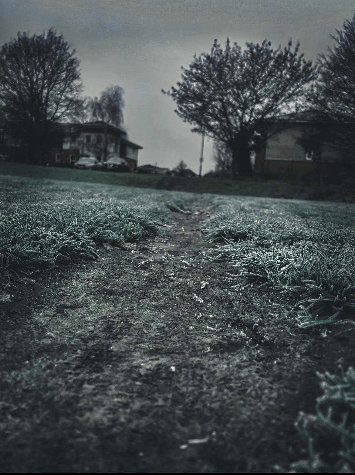Photo 410