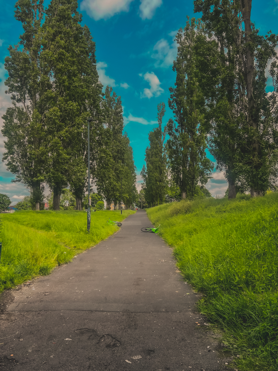Photo 600