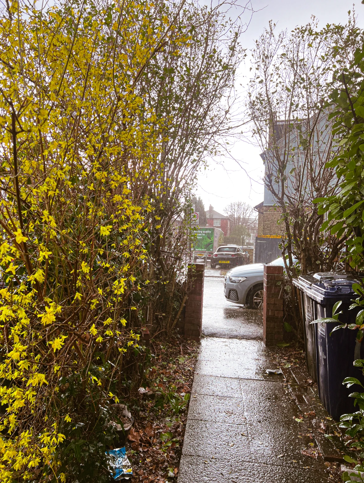 Photo 936